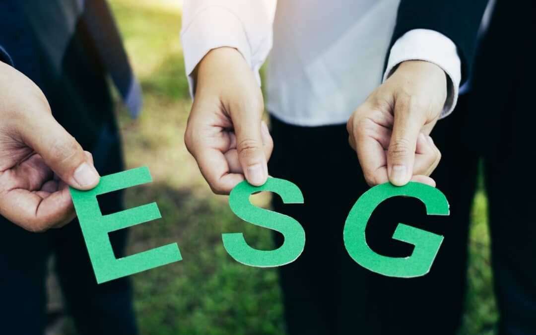 Singapore Audit Services and ESG Readiness: Preparing for Future Reporting Expectations